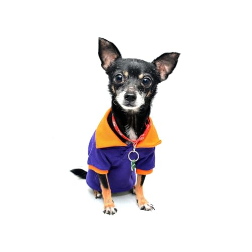 Are we pampering our dogs too much?