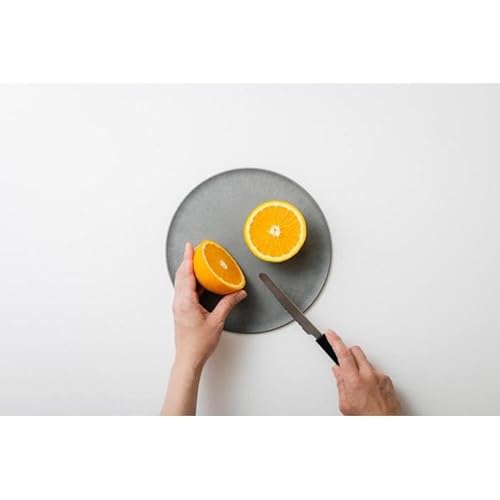 まな板になるお皿 CHOPLATE(チョップレート)174&220[stonegray]2枚セット