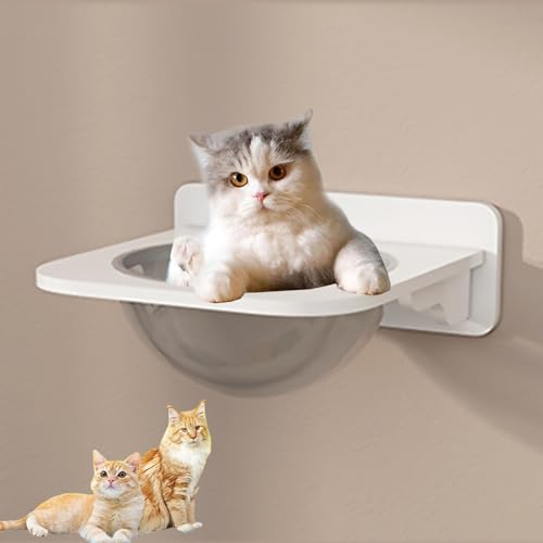 キャットウォーク、キャットウォーク 壁、壁掛けDIY猫クライミングフレーム、猫壁家具、猫棚、猫の巣、ジャンプ台、宇宙カプセル自律マッチング (Color : S2)