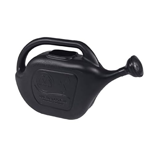 Regador Plástico Para Plantas E Flores 10 Litros