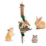 | Matériau à mâcher durable : le jouet à mâcher pour lapin est fabriqué à partir de matériaux sûrs et durables, qui ne perdent pas d'éclats ou de pièces même lors d'une utilisation à long terme. Cela minimise le risque d'ingestion accidentelle pour votre lapin pendant le jeu ou l'exploration et est idéal pour les rongeurs actifs ayant un comportement de mastication important.