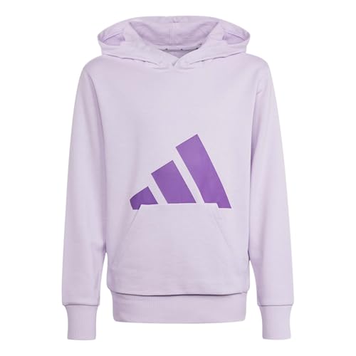 adidas Unisex - Bambini e Ragazzi Essentials Big Logo Hoodie, Ice Lavender/Active Purple, 11-12 Years