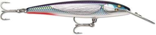 Rapala Count Down Magnum Elite Minnow Lure, Sinking Hard Bait, Saltwater and Freshwater Trolling Lure, 5-3/4", Armored Flying Fish by Rapala - Used condition - CA$24.60