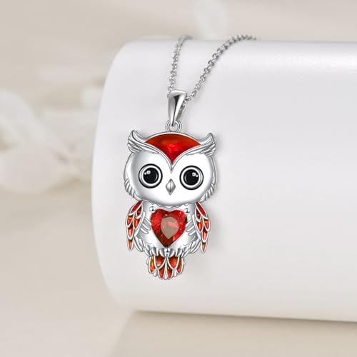 Owl Necklace Jewelry Gifts for Women Sterling Silver Birthstone Owl Pendant Necklace Christmas Jewelry for Women3