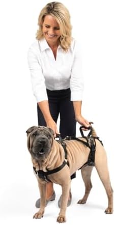 PetSafe Carelift, Arnés de Soporte de Cuerpo Completo con Asa, pa...