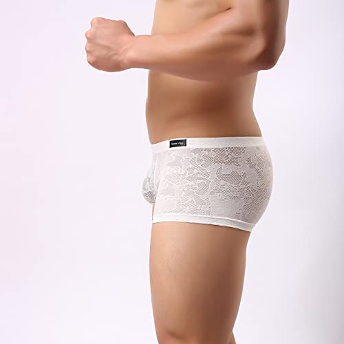 Evankin Men Breathable Underwear See Through Sexy Boxer Briefs Mesh Transparent Pants Male Soft Bikini Lace Underpants3