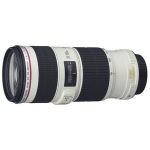 Canon EF 70-200mm f/4 Lens