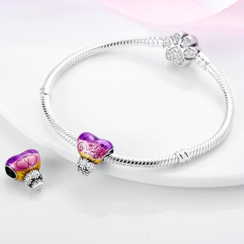 Hapour 925 Sterling Silver Charms for Charm Bracelets Necklace European Jewelry Pendant Beads Charms for Women Mom4