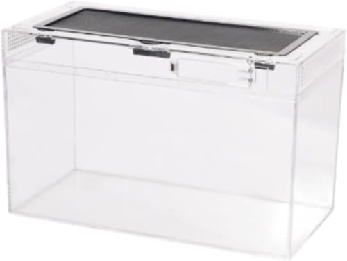 カエル、カメ、ヤドカリ用のPC飼育箱ペット用洗面器 (40*20*25cm)