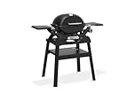 WEBER Barbecue à gaz Q 1200N Noir avec Pied