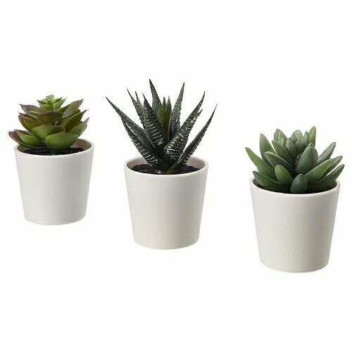 IKEA/CPA FEJKA/tFCJFlHϗtA Jo[t12 cm 3Zbg Succulenti205.197.65j