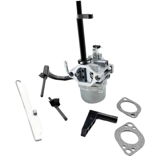 Carburateur résout problème démarrage BS 697351 P25 de jardin