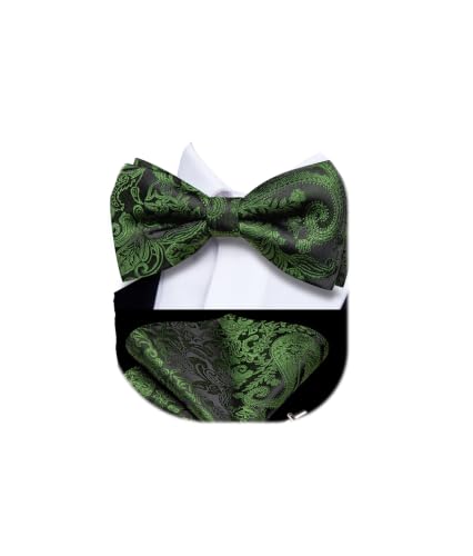 Image of Dubulle Mens Paisley Striped Bowtie Set Pre-tied Bowtie for Men and Pocket Square Set Wedding Business