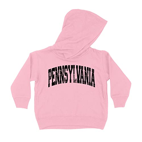 Distressed Pennsylvania Collegiate Kids Hoodie Sweatshirt Toddler 5T Light Pink