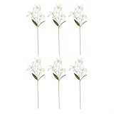 Photo Gallery extrwory bouquet di giglio artificiale, 6 pezzi, steli di fiori realistici, in plastica, decorativi, 60 cm, per matrimoni, casa, ufficio, giardino, interni ed esterni (bianco) Photo Gallery extrwory bouquet di giglio artificiale, 6 pezzi, steli di fiori realistici, in plastica, decorativi, 60 cm, per matrimoni, casa, ufficio, giardino, interni ed esterni (bianco)