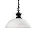 Z-Lite 100701MB-DMO14 Shark/Windsor One Light Pendant, Steel Frame, Matte Black Finish and Matte Opal Shade of Glass Material