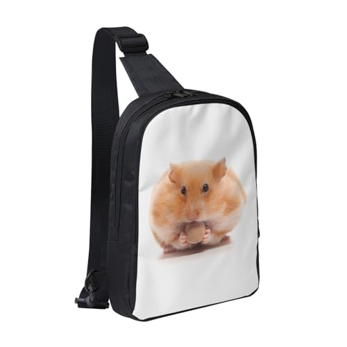 [RFSHOPC] {fB[obO nX^[ V_[ {fB ΂ߊ| | Y fB[X EΉ e h y c^ AEghA ] ʋ ʊw s