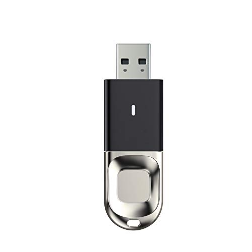Sczz Fingerabdruck-Sticks, 256 GB USB 3.0 Flash-Laufwerk, USB-Speicher PC Verschlüsselte Computerdatensicherheits Leser