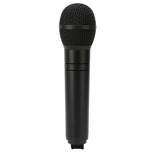 Máquina de karaokê, alto-falante leve, conjunto de 2 microfones, suporta USB AUX portátil, luz LED s