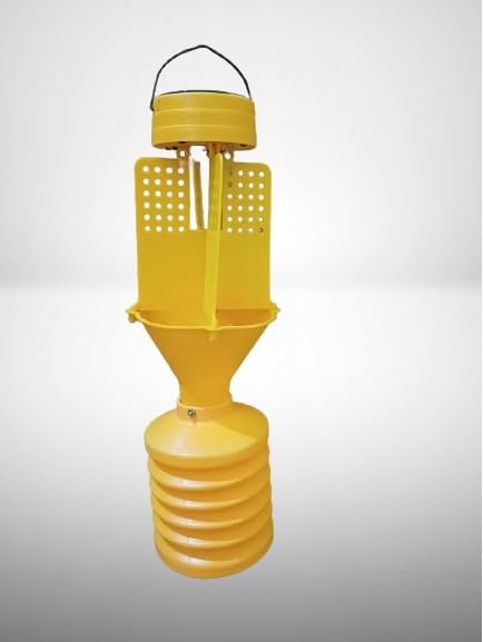 Solar Light Trap (B0D35S13Y2) Amazon Price History, Amazon Price Tracker
