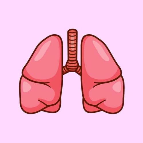 Unraveling the Respiratory System