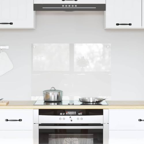 Plaque de cuisson préservée grâce au fond de hotte en verre trempé transparent 70x50
