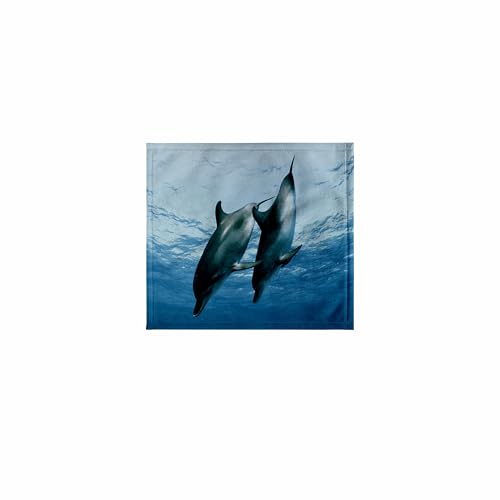 3dRose 11x12 Wash Cloth for Face and Body - Pair of Dolphins Dolphins