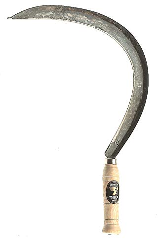 Angelo B FALCIOLA Roma Liscia 2/3 Art 15.12.11