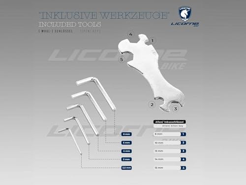 Licorne Bike Stella Premium City Bike in 24,26 und 28 Zoll - Fahrrad für Mädchen, Jungen, Herren und Damen - 21 Gang-Schaltung - Hollandfahrrad Citybike (28 Zoll, Schwarz)