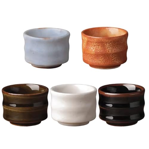 LULUG 5 Pcs Japan Ceramic Sake Cups Set Traditional Hand