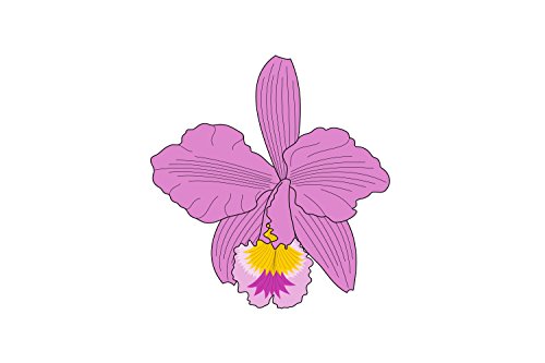Drapeau de Macanal Boyacá grand format tissu résistant extérieur - 2