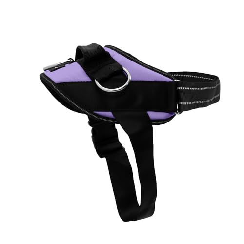 ShawnCo Essential Dog Harness, No-Pull Pet Vest with 3 Leash Clips, No Choke, Reflective, Adjustable and Padded, for Easy Walking and Training for Small, Medium and Large Dogs (ICY Lilac, S)