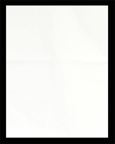 Fancierstudio White Muslin Backdrop 10' x 12' with Pre Stitched Loop