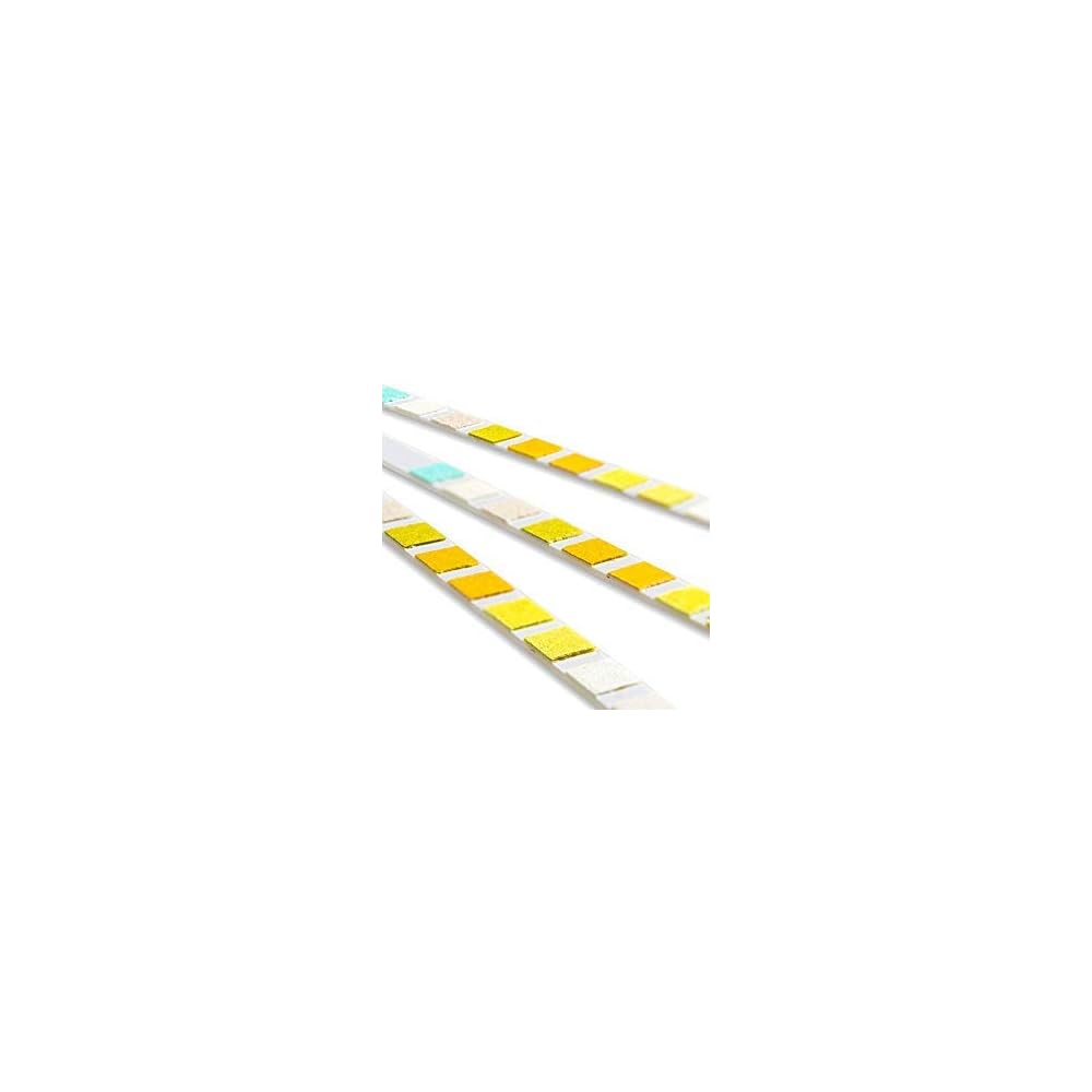 Buy One Step Pet Urine Test Strips, 50 x Urinalysis Parameter Tests for