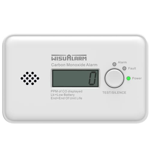 Kohlenmonoxid Melder,10 Jahre Batterie, CO Melder, Kohlenmonoxid Melder Testsieger, CO Warner mit LCD Display und Test/Silence Taste, TÜV Zertifiziert nach EN 50291