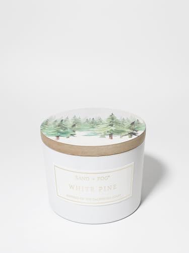Sand + Fog Scented Candle - White Pine – Additional Scents and Sizes – 100%...