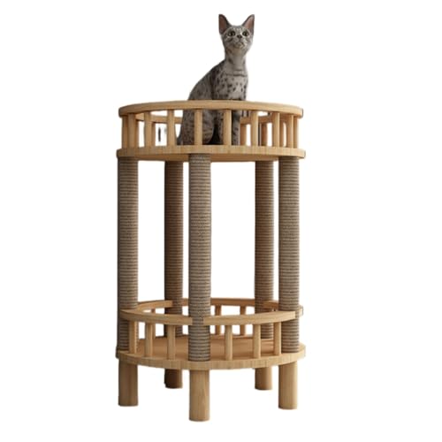 RoastMeL^[ؐLxbhؖڒX^CȃXy[XRpNgL^[VRvň肵ω׏dꓧFDLpVяxe܌푽@\ƋL̂ȒPȑgݗ (B)