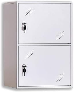 NITETRONIC 2-Door Assembled and Combinable Office Metal File Locker, School Lab Supplies,
