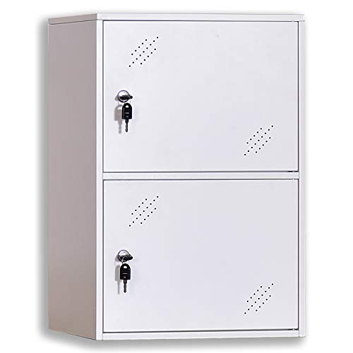 NITETRONIC 2-Door Assembled and Combinable Office Metal File Locker, School Lab Supplies,