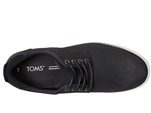 Image of TOMS Navi Oxford