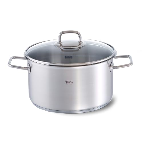 Fissler Viseo Olla de 5,7 L y 24 cm de diámetro, acero inoxidable, tapa de cristal, escala de medición integrada, reborde, de bajo consumo, para todo tipo de placas, también inducción