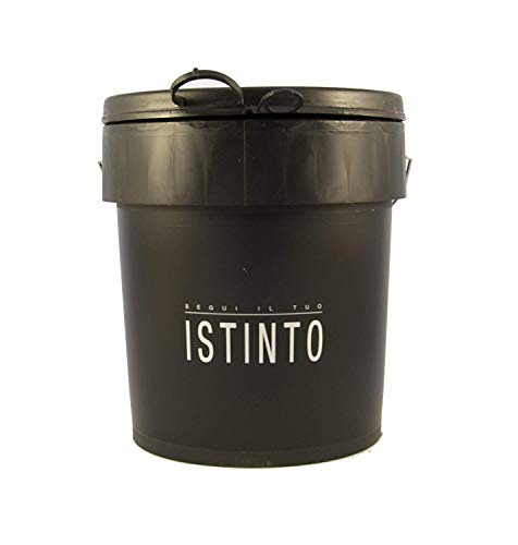 Graesan Segui Il Tuo Istinto, Gipsmörtel, 24 kg