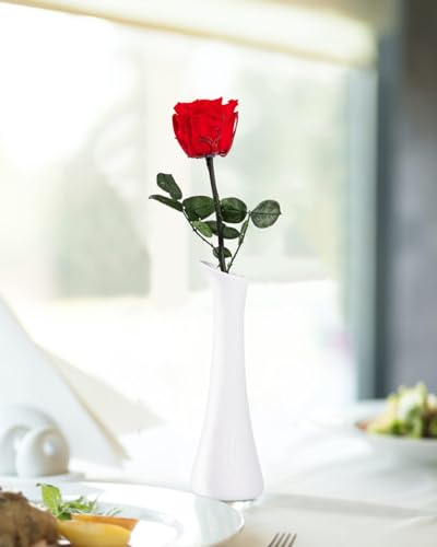 Image of Flowers for Delivery Prime, Preserved Roses Flower Gifts for Women, Real Roses Single Rose Presents for Her, Mom Birthday Gifts from Daughter, Valentines Flowers Red Rose