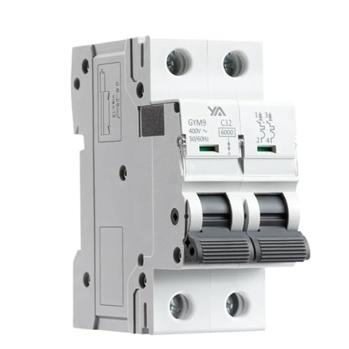 Disjoncteur à rail DIN GYM9 2P 6KA 40A pour tableau électrique domestique