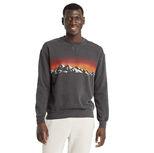 Goodfellow & Co Men's Crewneck Pullover Sweatshirt - (Small, Charcoal Gray)