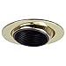 Nora Lighting NL-3318N Natural Metal Eyeball With Black Baffle