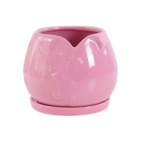 HIHELO Jardineras Maceta de cerámica Forma Creativa con Bandeja Orquídea casera, Maceta suculenta Adecuada for Flores pequeñas y Plantas Verdes Macetas de Vivero (Color : Pink)
