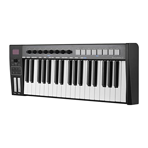 Clavier Piano 37 USB MIDI Clavier du Contrôleur 37 Touches Semi-pondérées 8 RVB Tampons De Déclenchement Rétro-éclairés… - Les Beatles, Paul McCartney, John Lennon, RIngo Starr, George Harrison Clavier Piano 37 USB MIDI Clavier du Contrôleur 37 Touches Semi-pondérées 8 RVB Tampons De Déclenchement Rétro-éclairés… – Image 6
