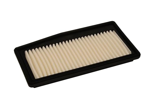 ACDelco Professional A3193C (96910360) Air Filter