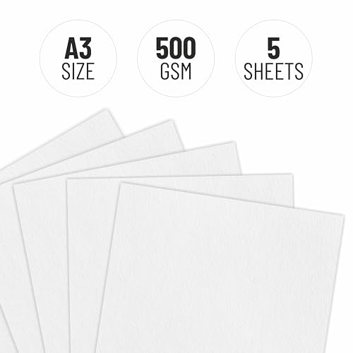 Image of Anupam Professional Watercolour Paper | A3 (42X30CM) 500 GSM Cold Pressed Paper | Acid-Free 5 Sheets| Ideal for Artist, Professional Drawing, Painting Dry & Wet, Fine Art, School, Students